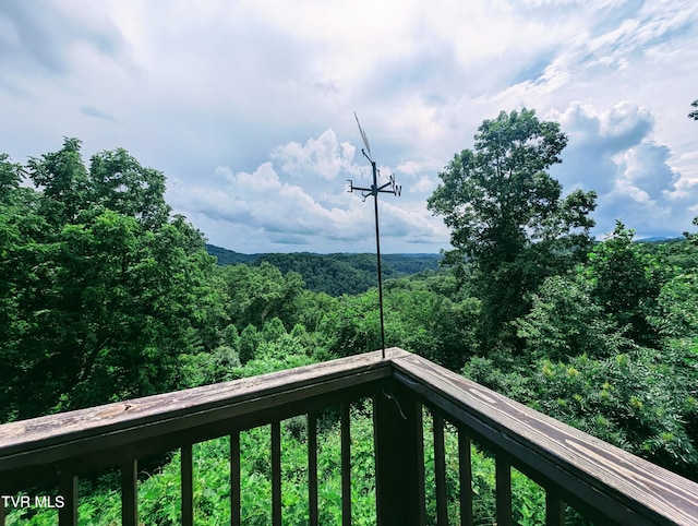 4443 Bartlick Rd, Haysi, VA 24256 - photo 43