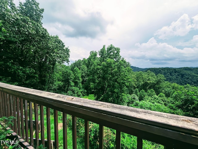 4443 Bartlick Rd, Haysi, VA 24256 - photo 44