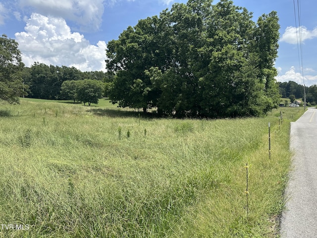 LOT1 Shackleford Rd, Mosheim, TN 37818 - photo 1