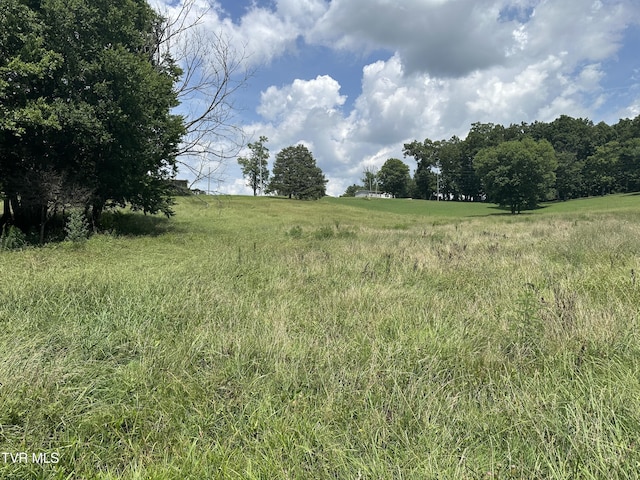 LOT1 Shackleford Rd, Mosheim, TN 37818 - photo 2