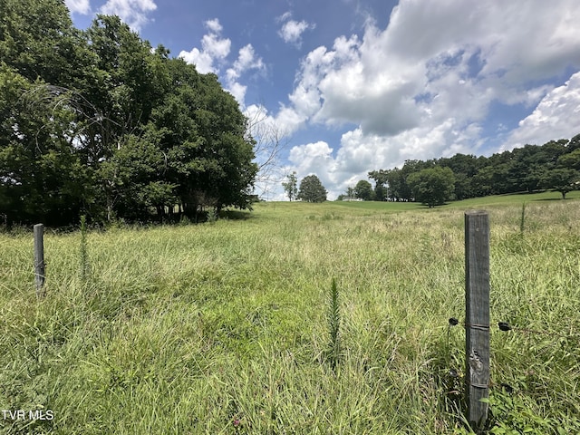 LOT1 Shackleford Rd, Mosheim, TN 37818 - photo 5