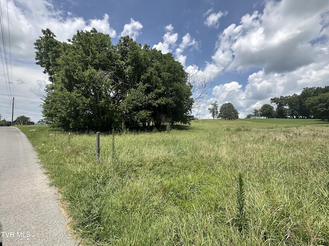 LOT1 Shackleford Rd, Mosheim, TN 37818 - photo 6