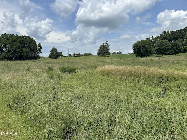 LOT1 Shackleford Rd, Mosheim, TN 37818 - photo 8