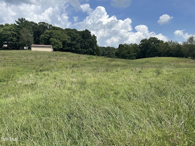 LOT1 Shackleford Rd, Mosheim, TN 37818 - photo 9