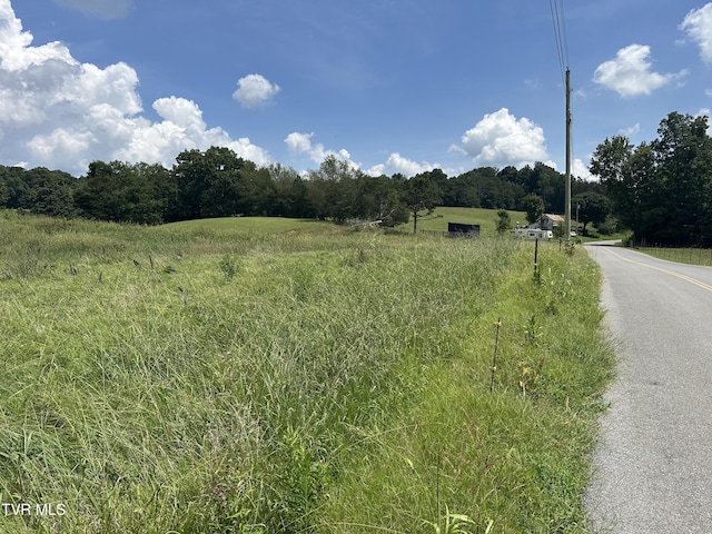 LOT1 Shackleford Rd, Mosheim, TN 37818 - photo 10