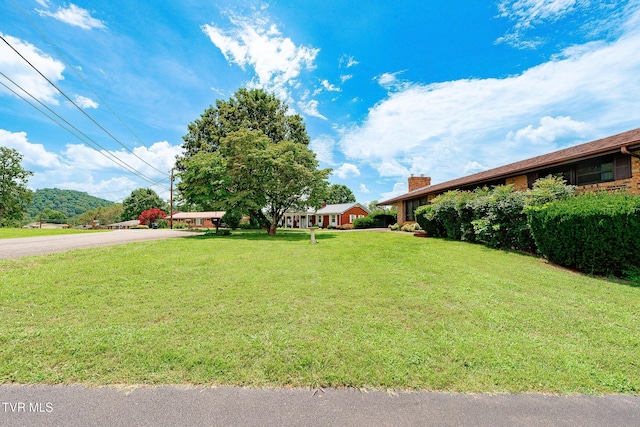 126 Stephen Dr, Church Hill, TN 37642 - photo 49