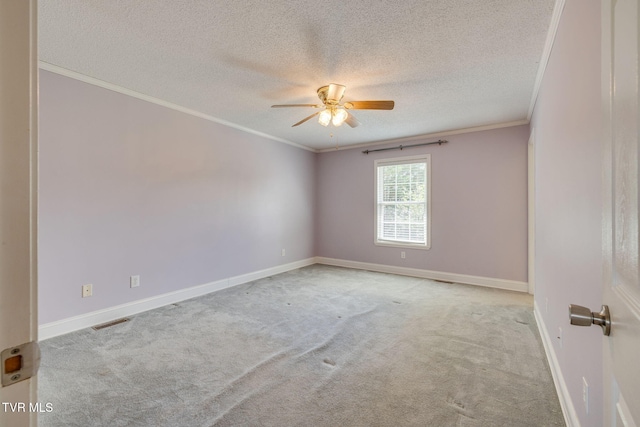 206 Persimmon Ln, Jonesborough, TN 37659 - photo 12