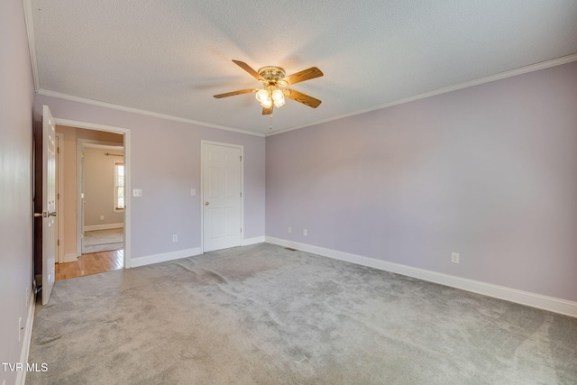 206 Persimmon Ln, Jonesborough, TN 37659 - photo 13