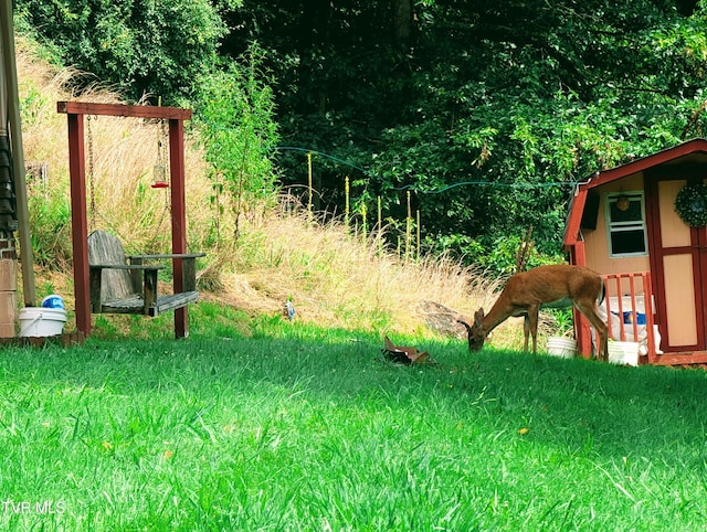 2056 Honey Camp Rd, Clintwood, VA 24228 - photo 4