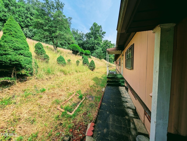 2056 Honey Camp Rd, Clintwood, VA 24228 - photo 5