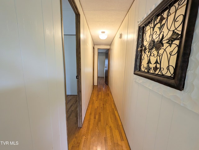 2056 Honey Camp Rd, Clintwood, VA 24228 - photo 10