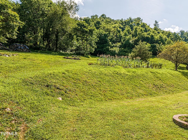 9600 Porterfield Hwy, Abingdon, VA 24210 - photo 64