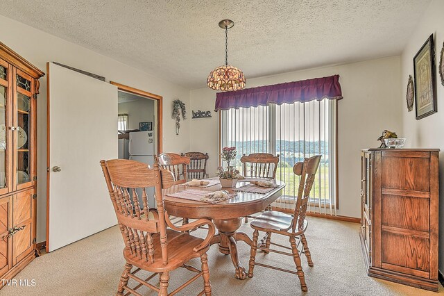 304 Quillen Terrace Cir, Nickelsville, VA 24271 - photo 9