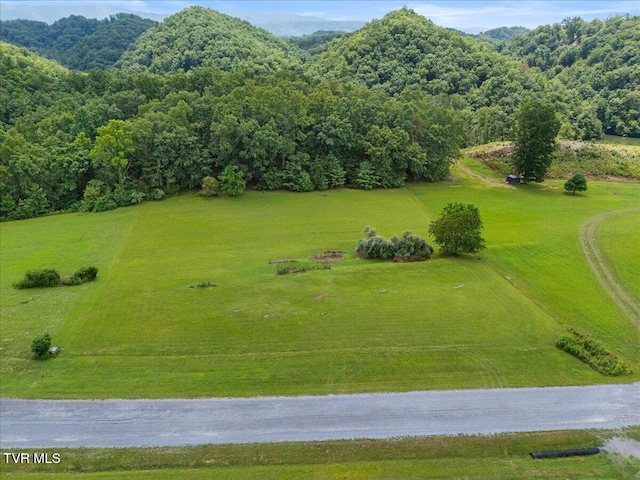 TBD Lake Pointe Dr, Abingdon, VA 24210 - photo 15