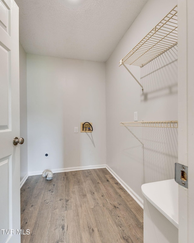 1009 E Myrtle Ave, Johnson City, TN 37601 - photo 23