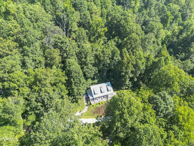 4195 Walker Mountain Rd, Bristol, VA 24202 - photo 5