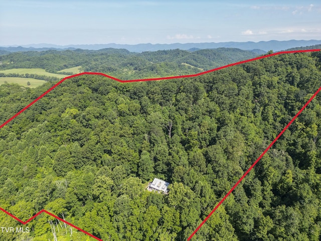 4195 Walker Mountain Rd, Bristol, VA 24202 - photo 3