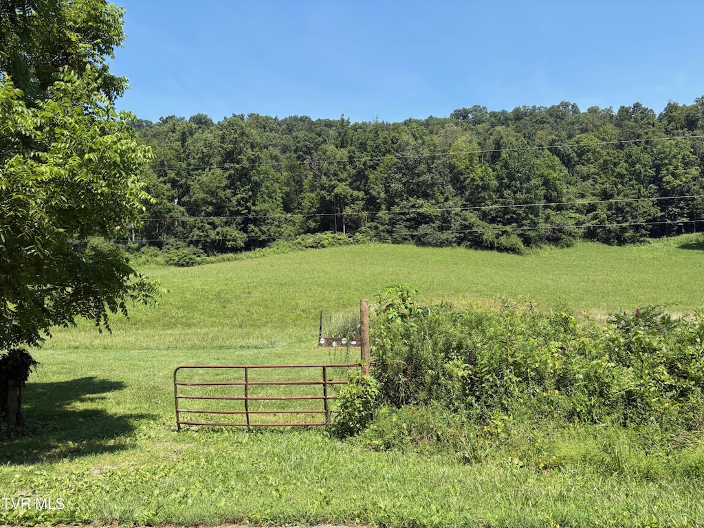 TBD Walker Mountain Rd, Bristol, VA 24201 - photo 2
