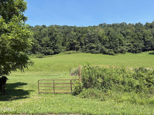 TBD Walker Mountain Rd, Bristol, VA 24201 - photo 2