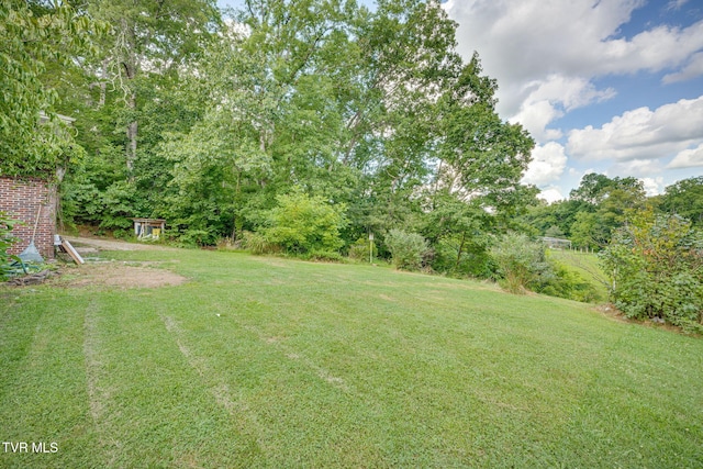 1117 Delrose Dr, Kingsport, TN 37660 - photo 30