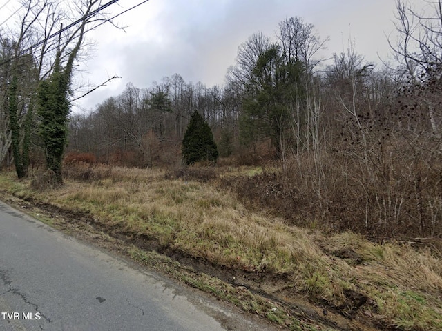 246 Browns Branch Rd, Hampton, TN 37658 - photo 2