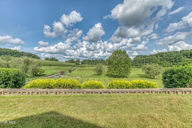 101 Bond Town Rd, Blountville, TN 37617 - photo 15