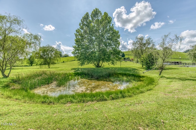 101 Bond Town Rd, Blountville, TN 37617 - photo 11