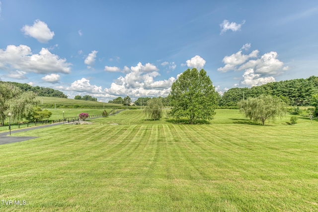 101 Bond Town Rd, Blountville, TN 37617 - photo 92