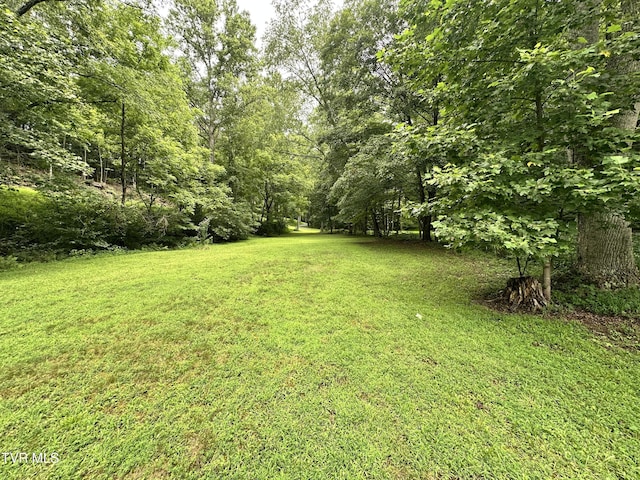 5576 Mendota Rd, Mendota, VA 24270 - photo 8