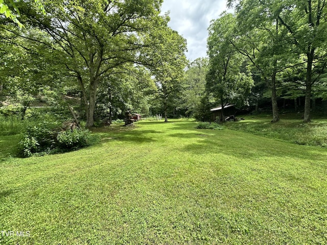 5576 Mendota Rd, Mendota, VA 24270 - photo 9