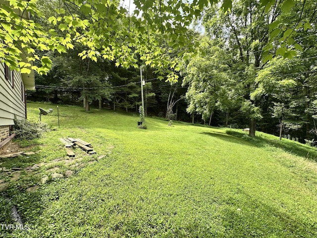 5576 Mendota Rd, Mendota, VA 24270 - photo 14