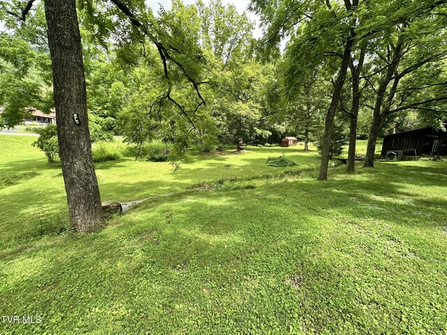 5576 Mendota Rd, Mendota, VA 24270 - photo 15