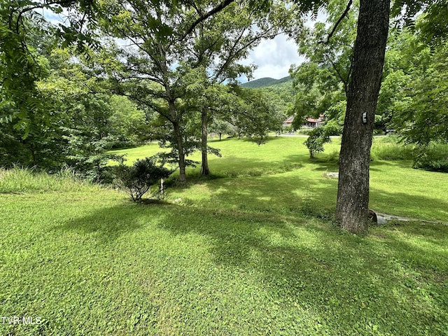 5576 Mendota Rd, Mendota, VA 24270 - photo 16