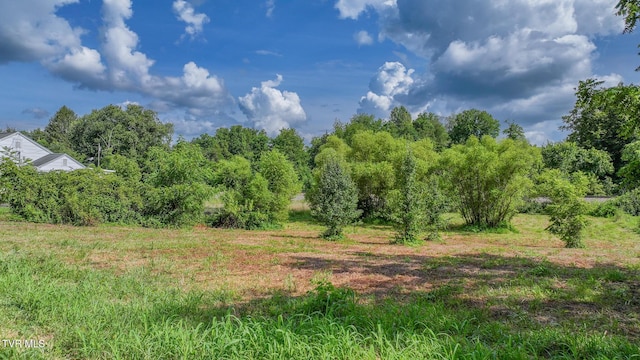 TBD Spring St, Jonesborough, TN 37659 - photo 5