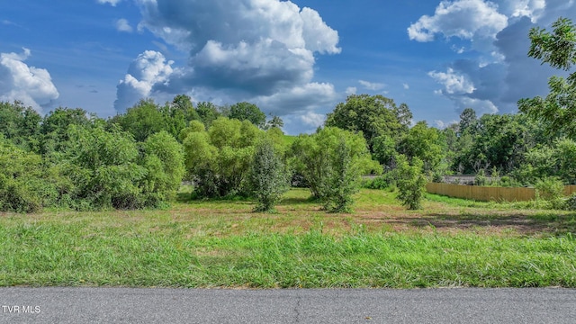 TBD Spring St, Jonesborough, TN 37659 - photo 4