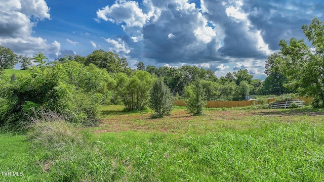 TBD Spring St, Jonesborough, TN 37659 - photo 6