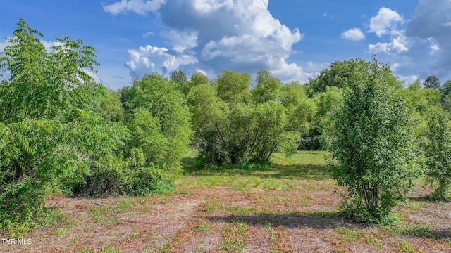 TBD Spring St, Jonesborough, TN 37659 - photo 7