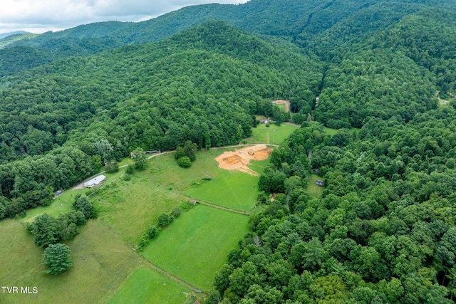 TBD Sandy Rd, Mountain City, TN 37683 - photo 9