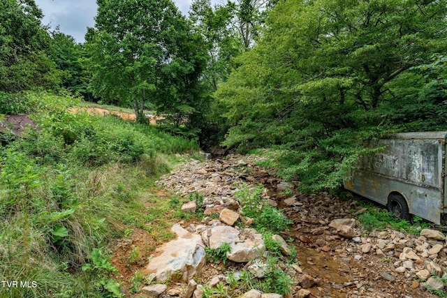 TBD Sandy Rd, Mountain City, TN 37683 - photo 19