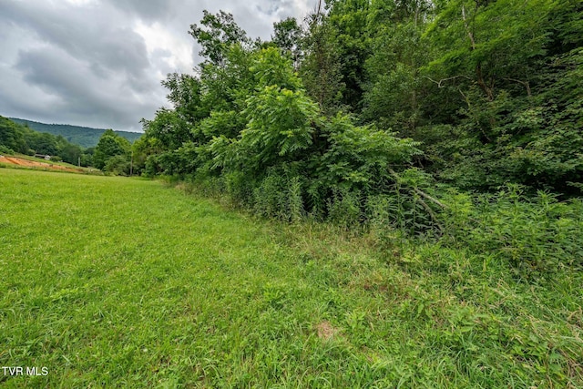 TBD Sandy Rd, Mountain City, TN 37683 - photo 25