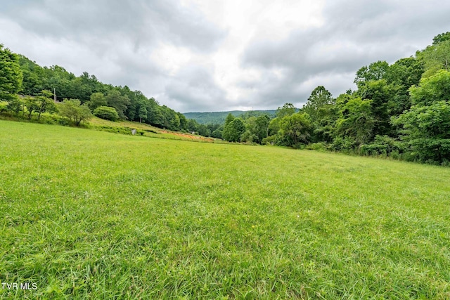 TBD Sandy Rd, Mountain City, TN 37683 - photo 26