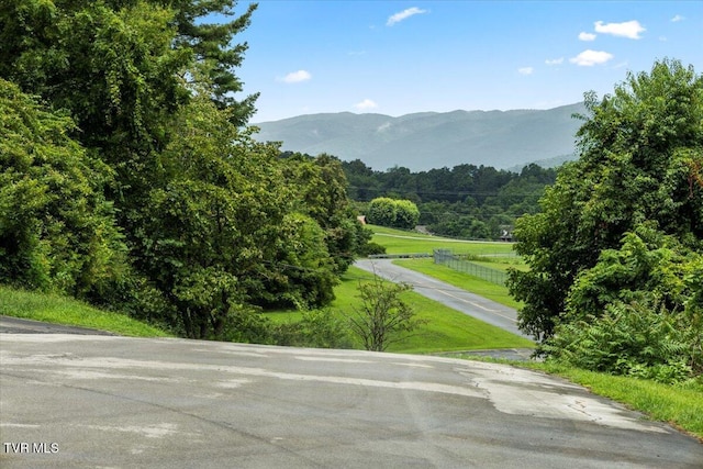 201 Ron Royce Dr Unit 1, Elizabethton, TN 37643 - photo 49