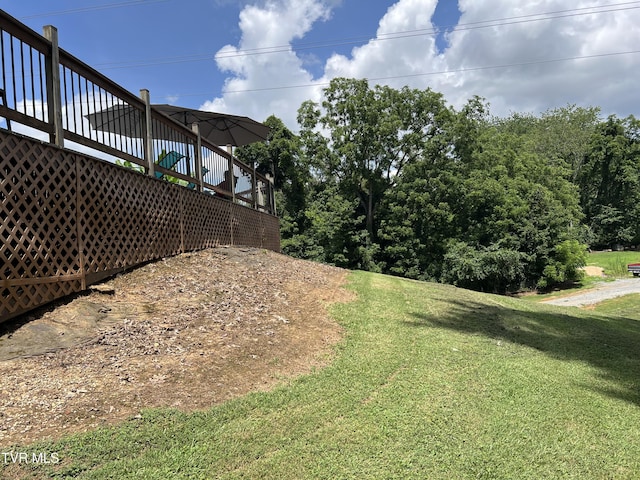 435 Matson Rd, Jonesborough, TN 37659 - photo 37