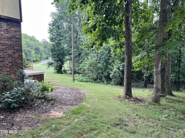 435 Matson Rd, Jonesborough, TN 37659 - photo 35
