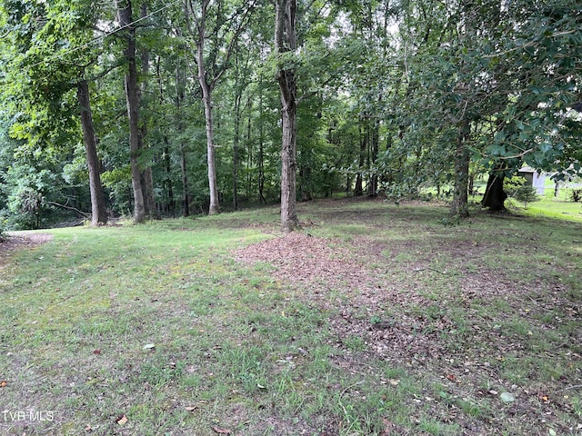 435 Matson Rd, Jonesborough, TN 37659 - photo 38