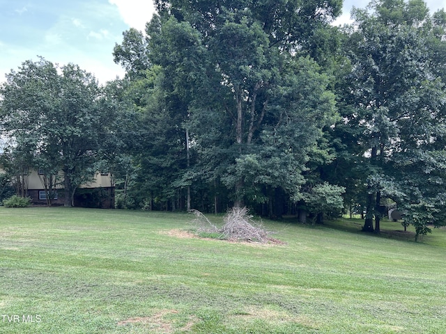 435 Matson Rd, Jonesborough, TN 37659 - photo 43