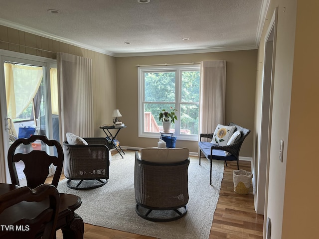 435 Matson Rd, Jonesborough, TN 37659 - photo 7
