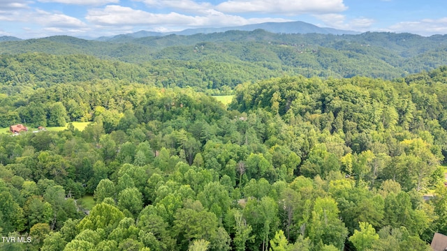 2875 Mcmahan Sawmill Rd, Sevierville, TN 37862 - photo 28