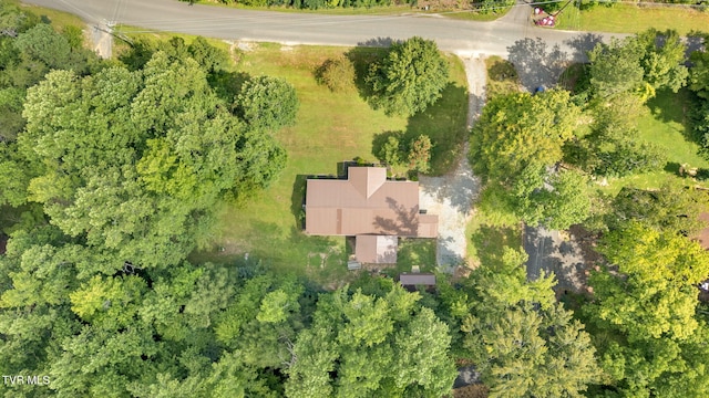 2875 Mcmahan Sawmill Rd, Sevierville, TN 37862 - photo 33