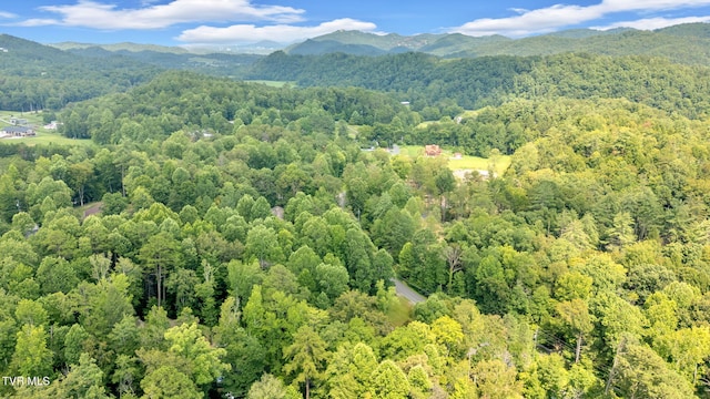2875 Mcmahan Sawmill Rd, Sevierville, TN 37862 - photo 36